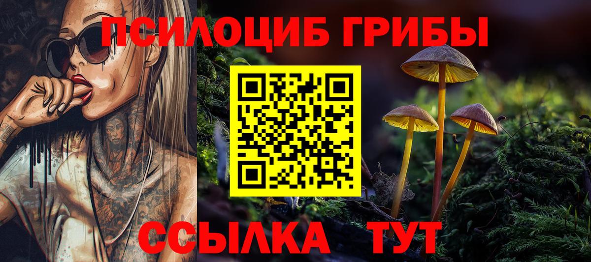 Псилоцибиновые грибы Psilocybe  Вход с VPN  Псилоцибиновые грибы мухоморы  Тула 